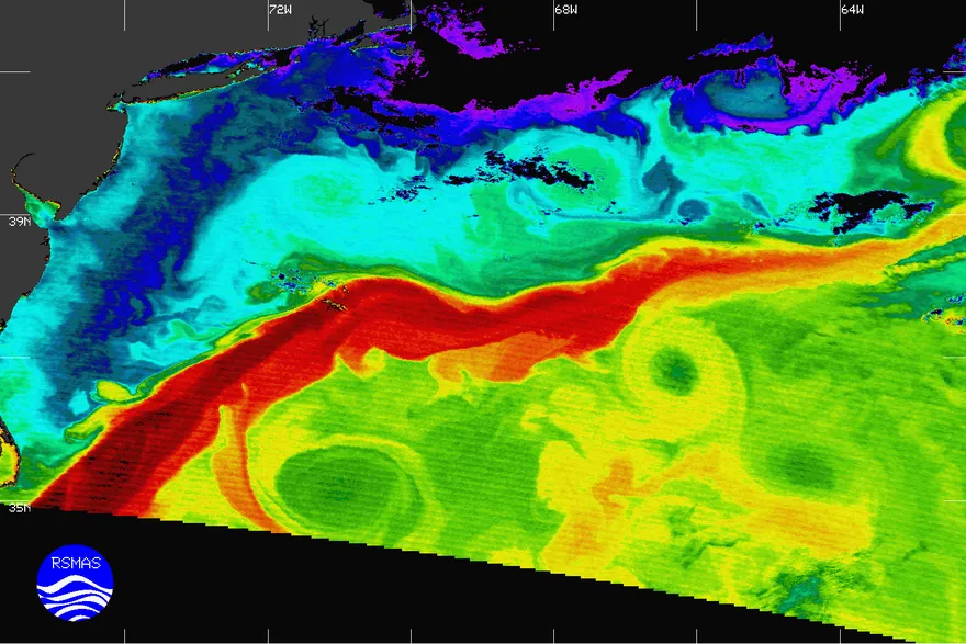 Imagen satelital de temperatura superficial del mar que muestra la Corriente del Golfo cruzando el Atlántico occidental frente a la costa este de Estados Unidos.